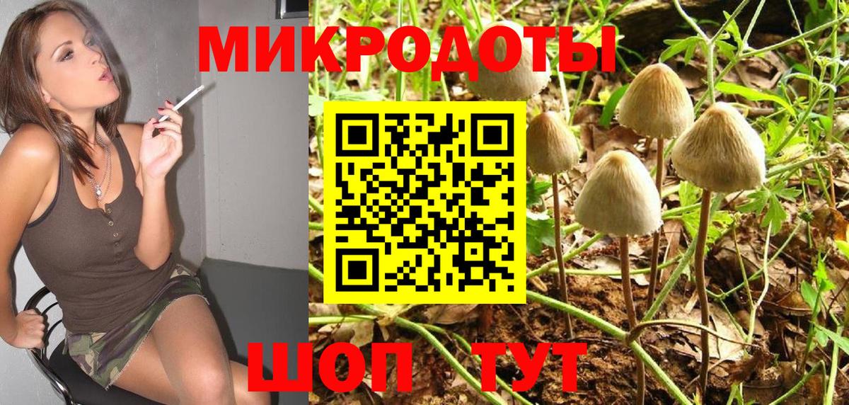 Сызрань  Галлюциногенные грибы MAGIC MUSHROOMS  Вход с VPN 