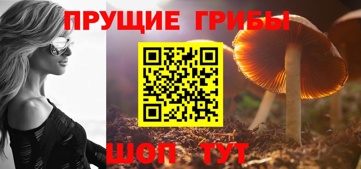 Галлюциногенные грибы Psilocybine cubensis Сызрань